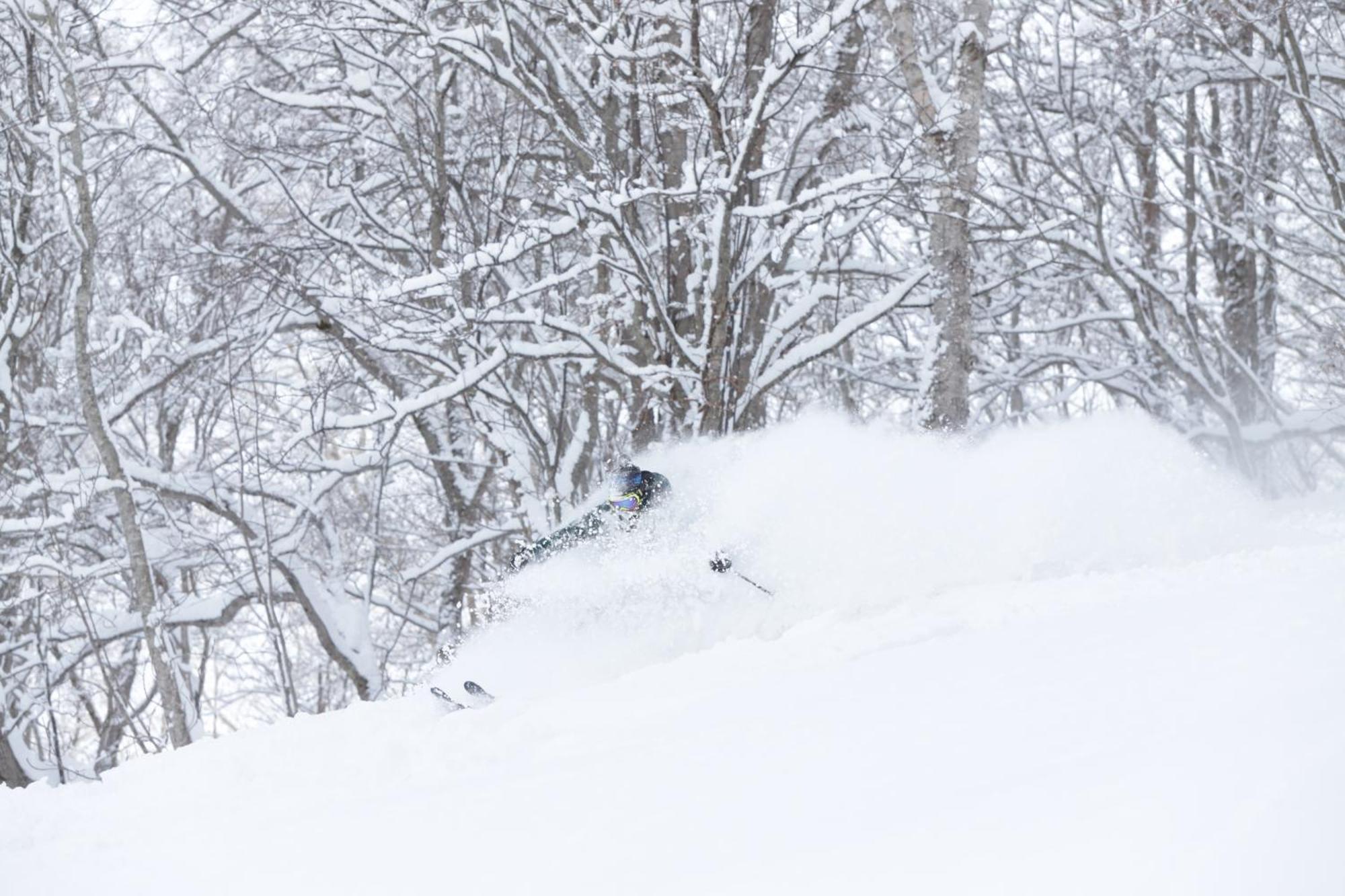 Niseko Highland Cottages Экстерьер фото