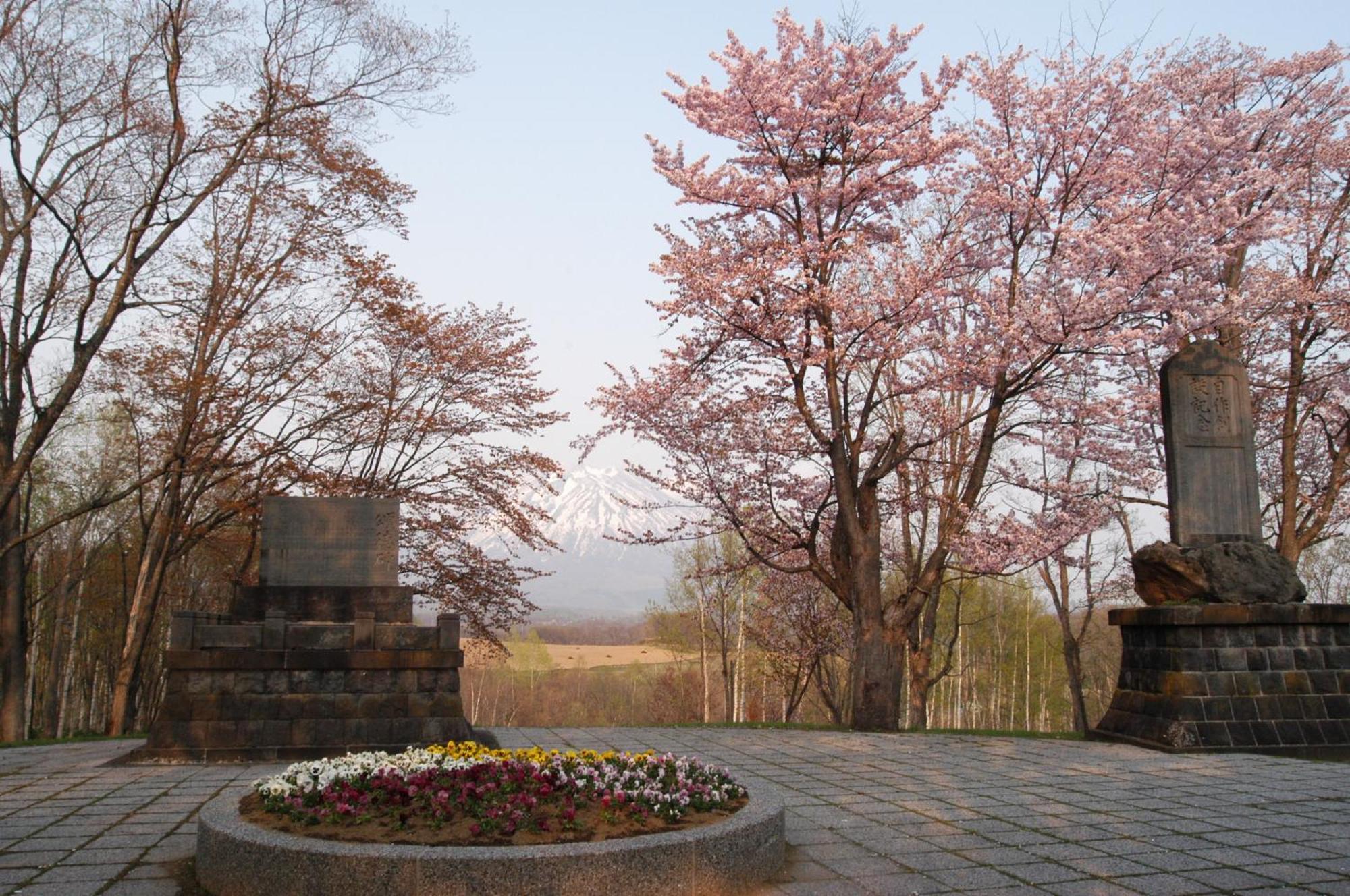 Niseko Highland Cottages Экстерьер фото